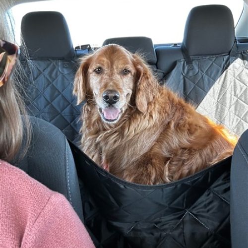 101A2644-87BE-48B4-B412-0C64AA1621DF (450 x 600)