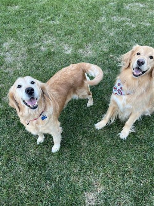 3C5CA45C-9A57-4055-A13C-C679DD61040A (600 x 450)