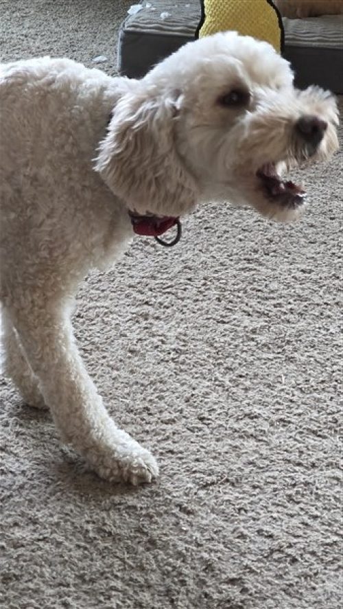 7803 (600 x 338) (338 x 600)