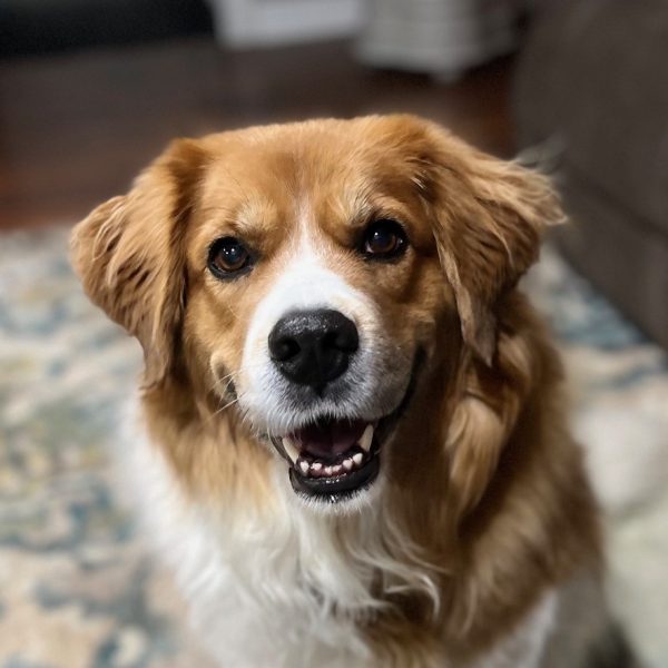 Annie
