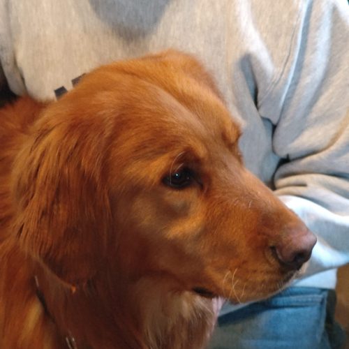 Bruce with foster dad