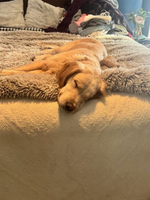 E1133801-6787-41F4-B706-3AB453E1EB40 (450 x 600)