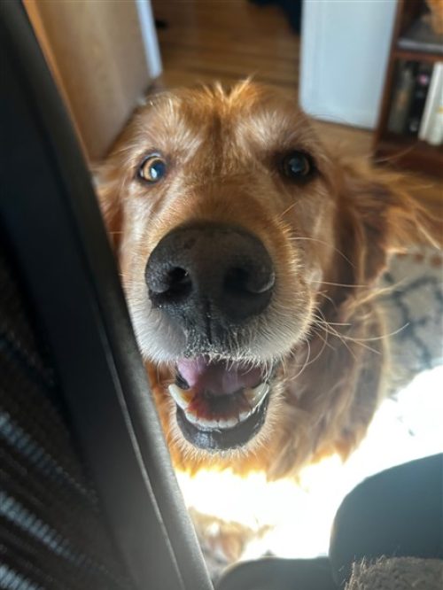 F7E9BC96-B39F-4769-B0C9-189D16641A80 (450 x 600)