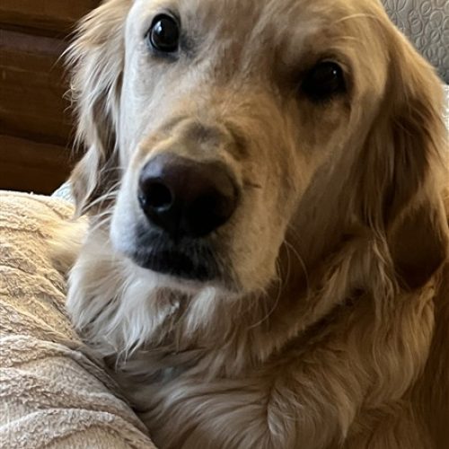 F998D486-9218-431D-80F0-BF2CCC49DF6D (450 x 600)