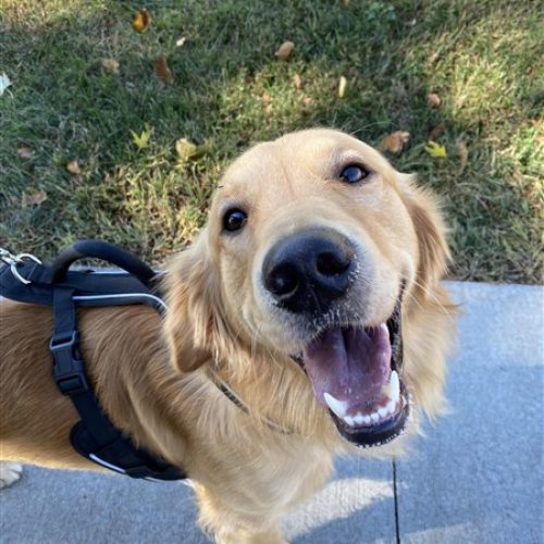 Favorite Picture of Buddy (450 x 600)