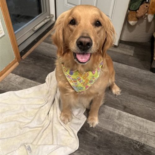 IMG_1467_Original (450 x 600)