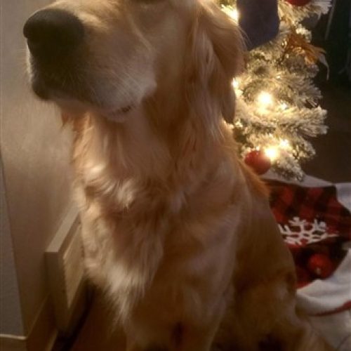 IMG_20251118_132018 (337 x 600)