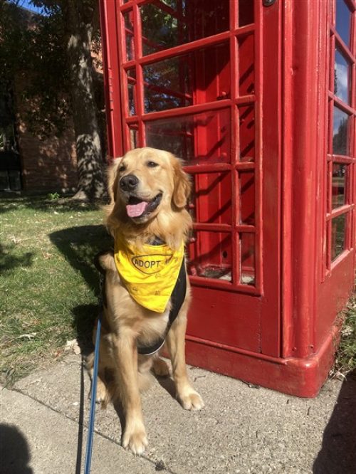 IMG_3989 (450 x 600)