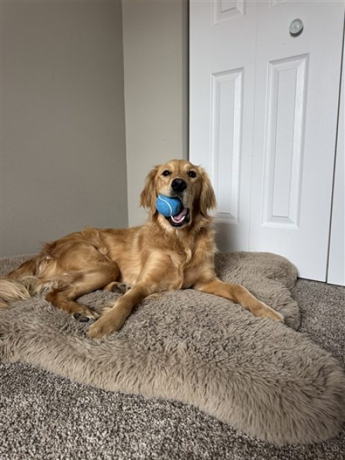 IMG_5955 (450 x 600)