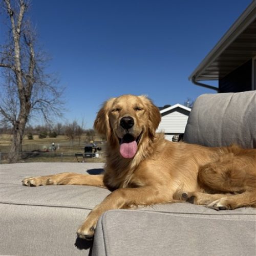 IMG_5998 (450 x 600)