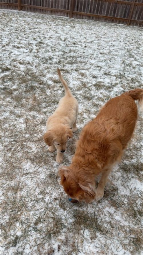 IMG_6098 (337 x 600)