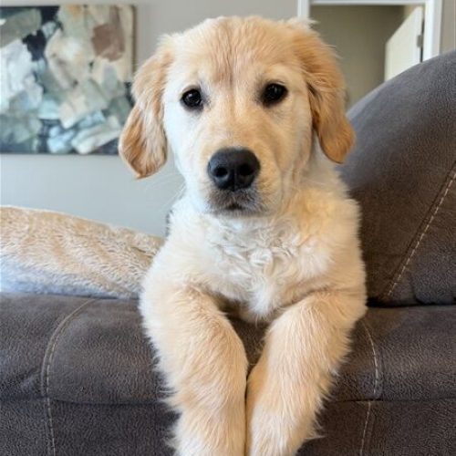 IMG_6244 (600 x 450)