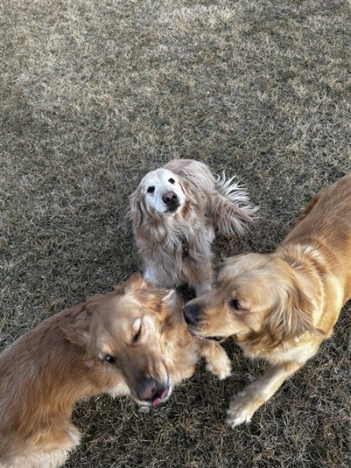 IMG_8906 (450 x 600)