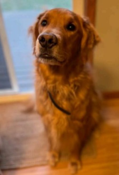 Jack26-044 (223 x 328)
