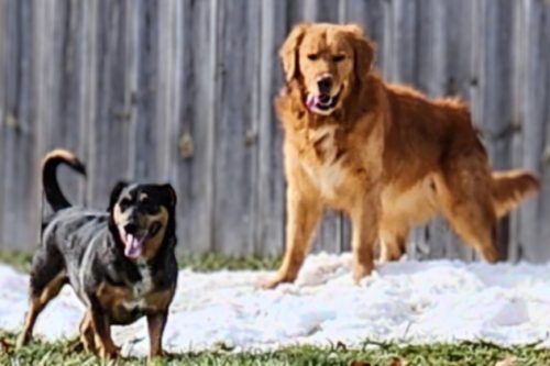 Phil daycare 1