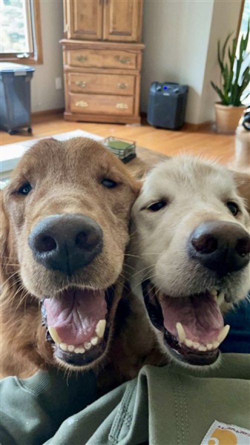 Rusty & Jasper (337 x 600)