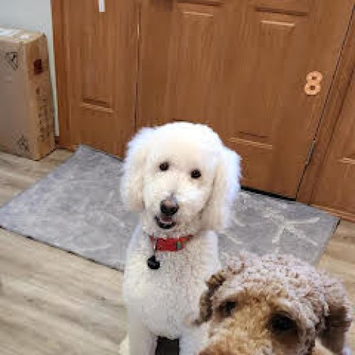 benny