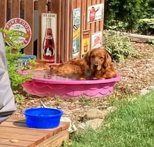 clifford2 (476 x 453)