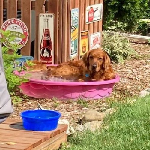 clifford2 (476 x 453)