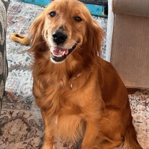 image0-4 (450 x 600)