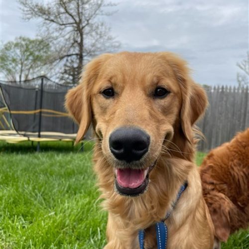 sassy (450 x 600)