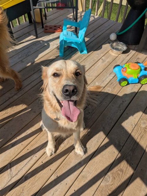 unnamed(2) (450 x 600)