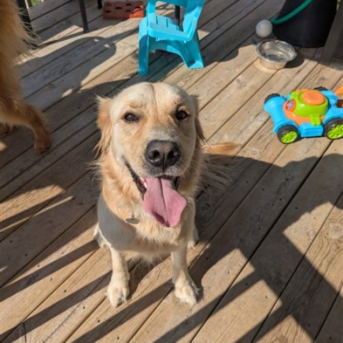 unnamed(2) (450 x 600)